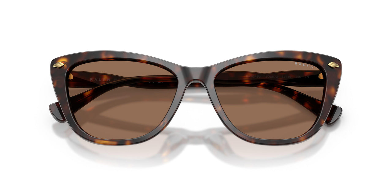 500373 - Tortoise - Brown