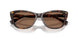 500373 - Tortoise - Brown