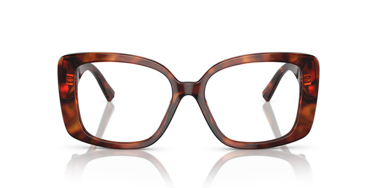 8002 - Tortoise