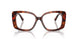 8002 - Tortoise