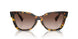 VAU6S1 - Tortoise - Brown Gradient
