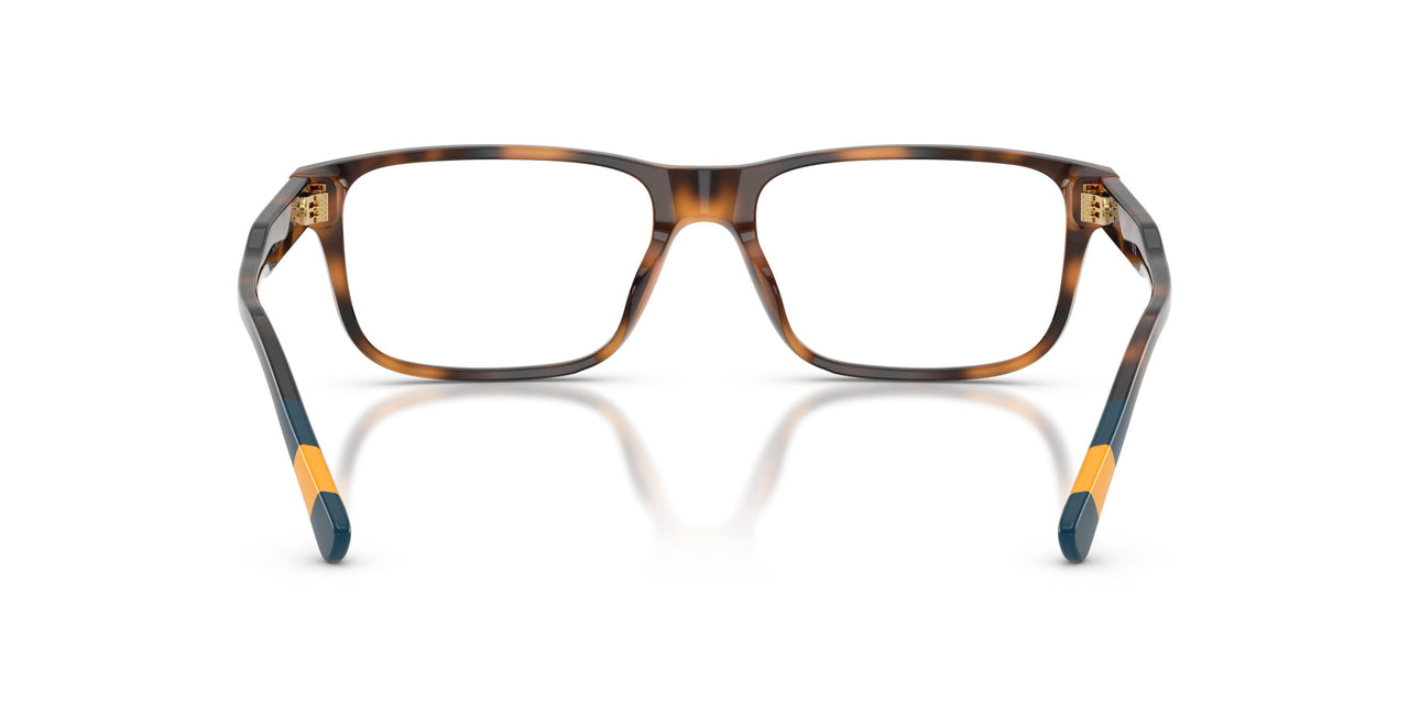 5003 - Tortoise
