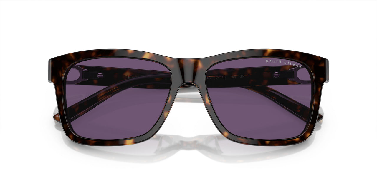 50031A - Tortoise - Purple