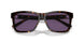50031A - Tortoise - Purple