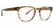 Badgley Mischka BMZACH Eyeglasses