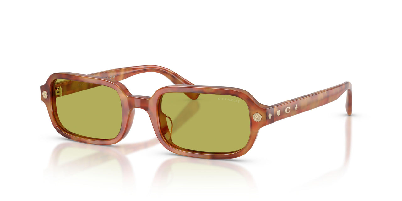 Coach Cfu11 8465U Sunglasses