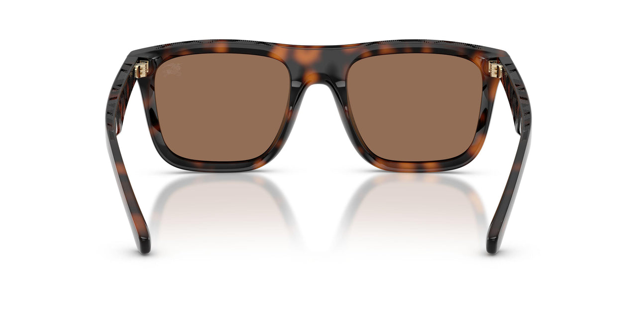 300273 - Brown - Dark Brown