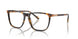 5134 - Tortoise
