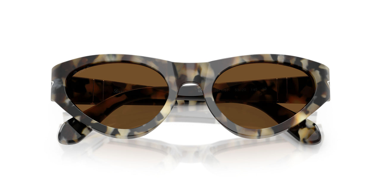 107157 - Tortoise - Brown Polar