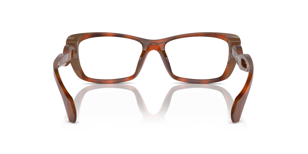 004 - Brown