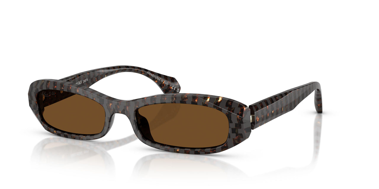 004/57 - Tortoise - Polar Brown