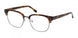 HOLLISTER 50034 Eyeglasses