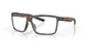 901602 - Tortoise