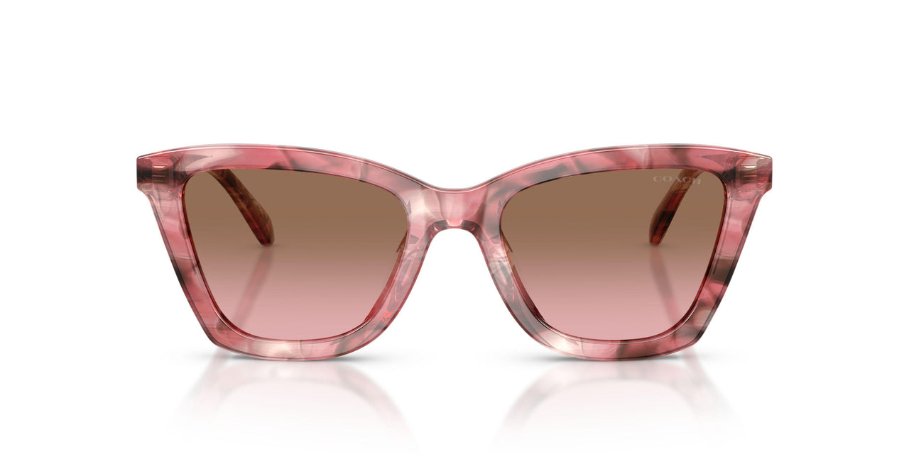 596414 - Pink - Brown Pink Gradient