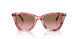 596414 - Pink - Brown Pink Gradient