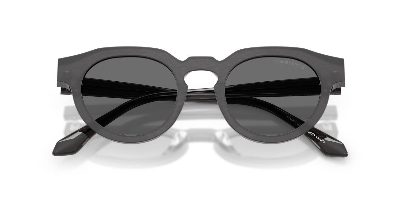 639587 - Tortoise - Grey