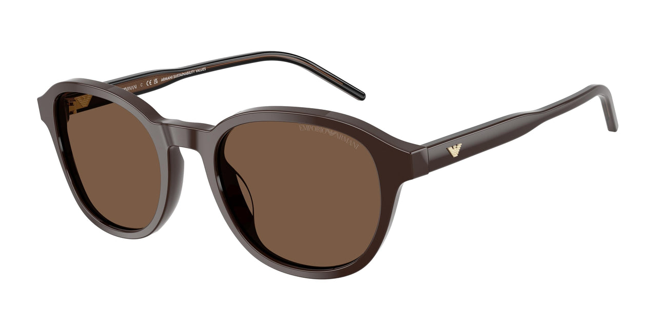 Emporio Armani 4247U Sunglasses