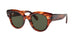 954/31 - Havana - Green