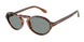 616256 - Tortoise - Blue