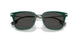 405987 - Green - Dark Grey