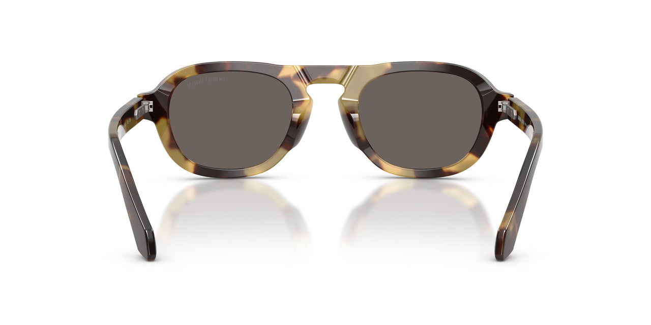 6301B1 - Tortoise - Dark Grey