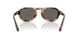 6301B1 - Tortoise - Dark Grey