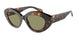 599314 - Tortoise - Green