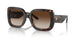 172813 - Havana - Brown Gradient