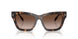 172813 - Tortoise - Brown Gradient