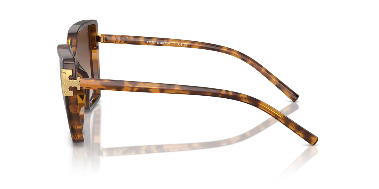 199213 - Tortoise - Light Brown Gradient