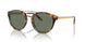 51345U - Tortoise - Green