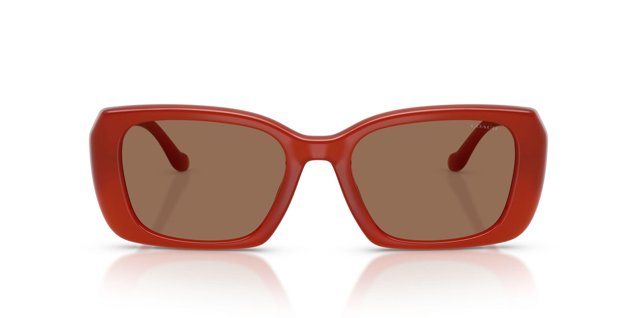 591673 - Orange - Brown Solid