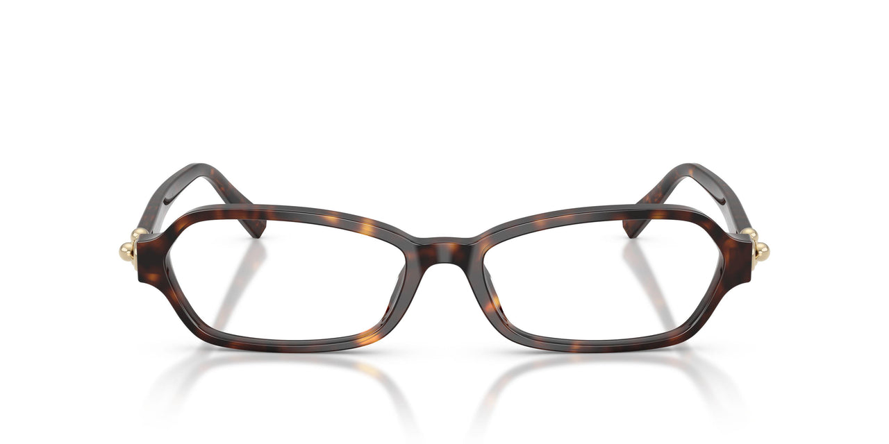 8015 - Tortoise