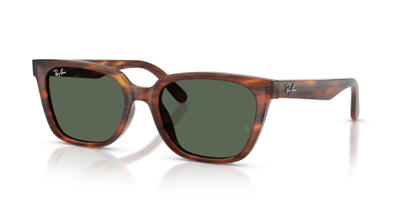 Ray-Ban 2243D Sunglasses