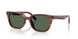 Ray-Ban 2243D Sunglasses