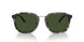 575571 - Tortoise - Green Solid