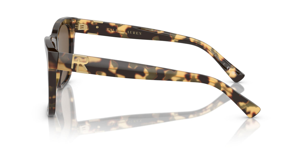 500473 - Tortoise - Brown