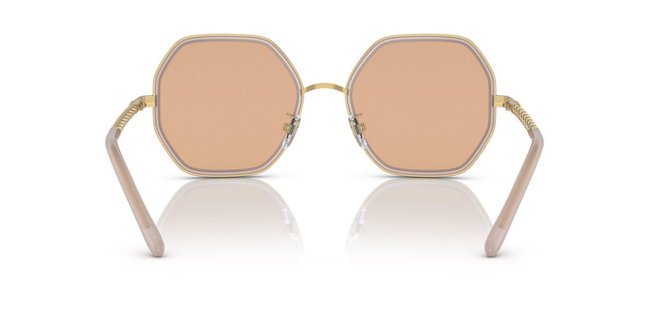 332973 - Pink - Solid Brown