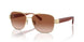 900513 - Gold - Brown Gradient
