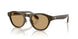 619473 - Brown - Brown