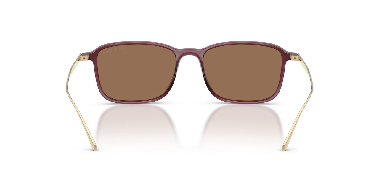 648773 - Red - Dark Brown