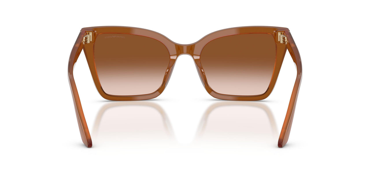 637613 - Brown - Brown Gradient