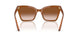637613 - Brown - Brown Gradient
