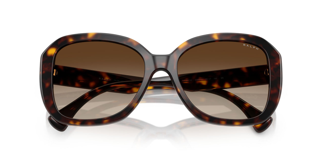 500313 - Brown - Gradient Brown