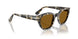 107133 - Tortoise - Brown