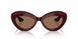 178973 - Violet - Brown
