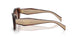 00K10S - Tortoise - Brown Gradient