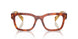 11P1O1 - Brown