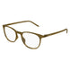 005 - Brown - Transparent