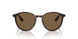 502673 - Tortoise - Dark Brown